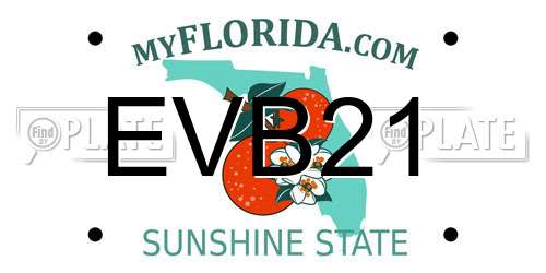 EVB21 Florida License Plate
