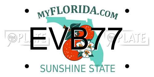 EVB77 Florida License Plate