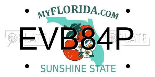 EVB84P Florida License Plate