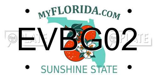 EVBG02 Florida License Plate