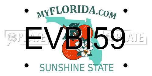 EVBI59 Florida License Plate