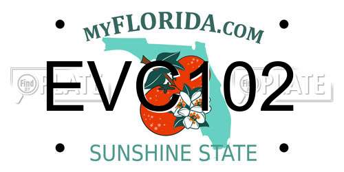 EVC102 Florida License Plate