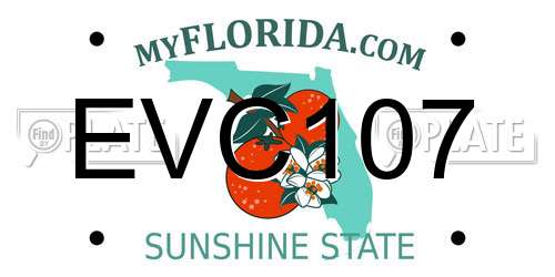 EVC107 Florida License Plate