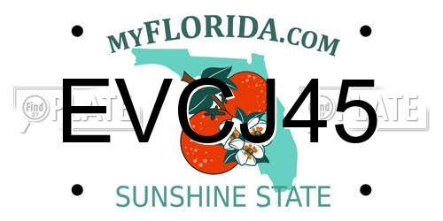 EVCJ45 Florida License Plate