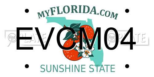 EVCM04 Florida License Plate