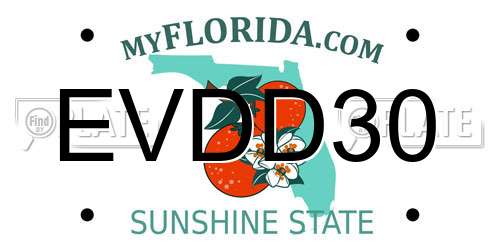 EVDD30 Florida License Plate