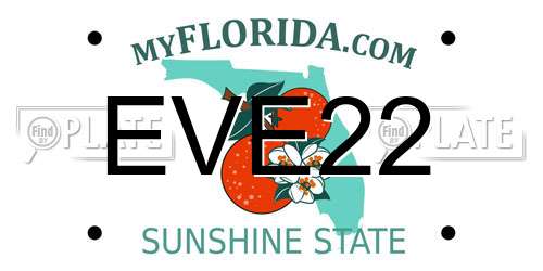 EVE22 Florida License Plate