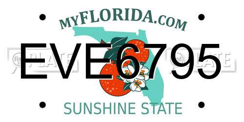 EVE6795 Florida License Plate