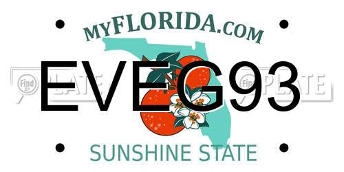 EVEG93 Florida License Plate