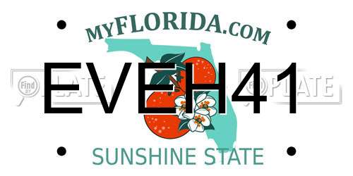 EVEH41 Florida License Plate