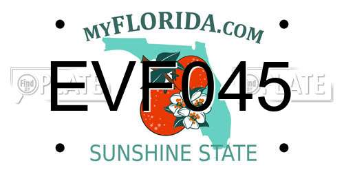 EVF045 Florida License Plate