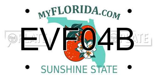 EVF04B Florida License Plate