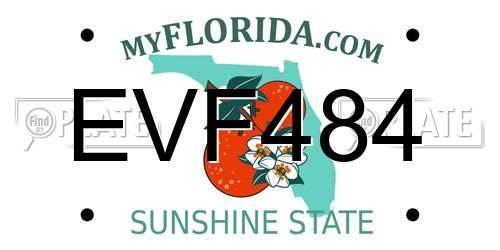 EVF484 Florida License Plate