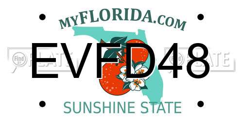 EVFD48 Florida License Plate