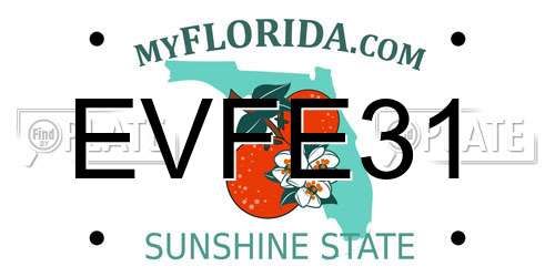 EVFE31 Florida License Plate