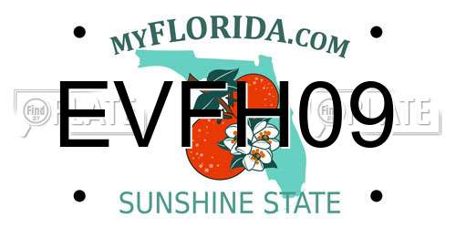 EVFH09 Florida License Plate