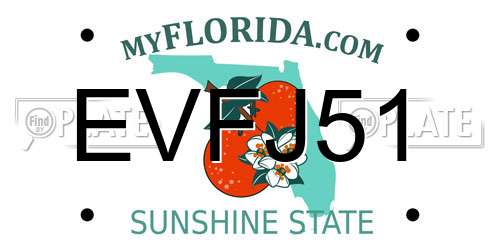 EVFJ51 Florida License Plate