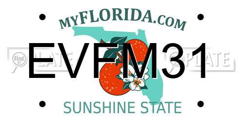 EVFM31 Florida License Plate