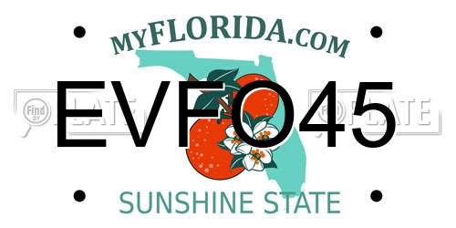EVFO45 Florida License Plate