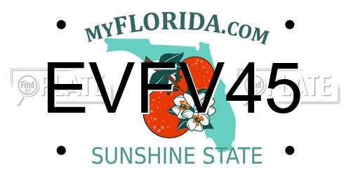EVFV45 Florida License Plate