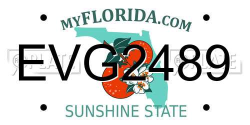 EVG2489 Florida License Plate