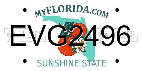 EVG2496 Florida License Plate