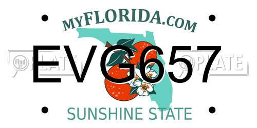 EVG657 Florida License Plate