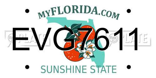 EVG7611 Florida License Plate