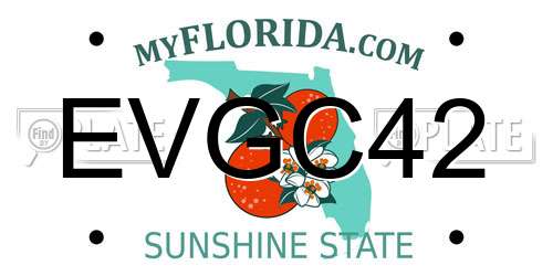 EVGC42 Florida License Plate
