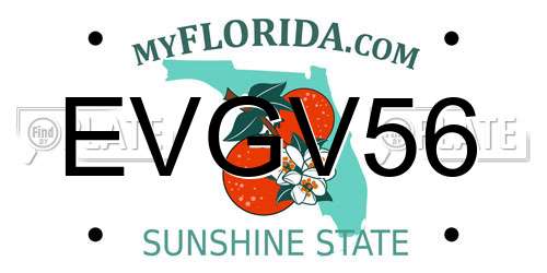 EVGV56 Florida License Plate