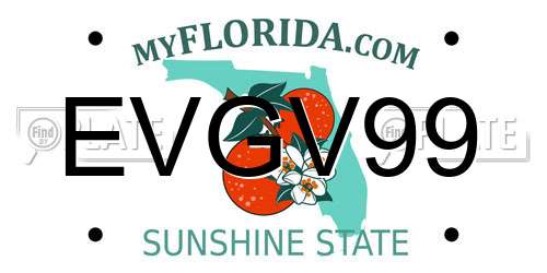 EVGV99 Florida License Plate