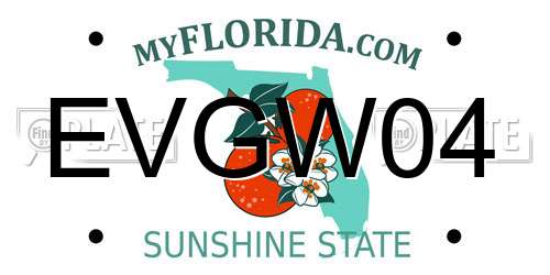 EVGW04 Florida License Plate