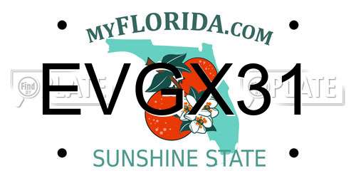 EVGX31 Florida License Plate