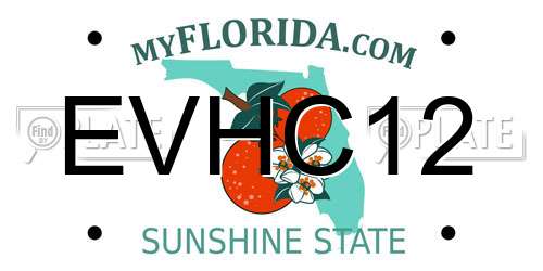 EVHC12 Florida License Plate
