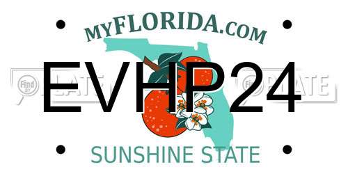 EVHP24 Florida License Plate