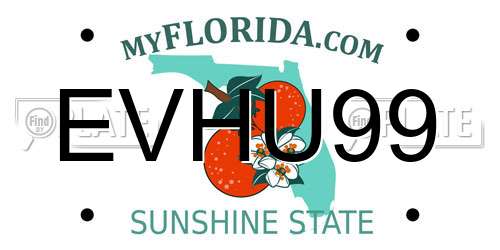 EVHU99 Florida License Plate