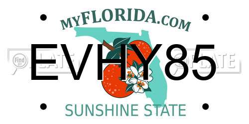 EVHY85 Florida License Plate