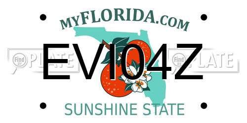 EVI04Z Florida License Plate