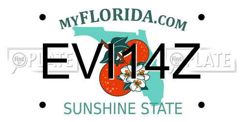 EVI14Z Florida License Plate