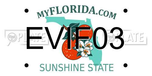 EVIF03 Florida License Plate