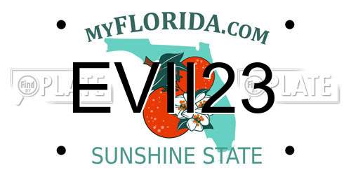 EVII23 Florida License Plate