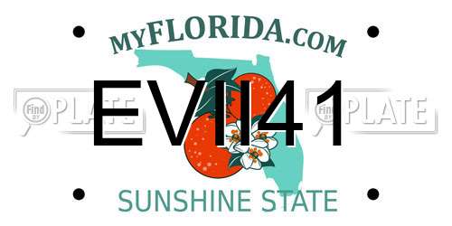 EVII41 Florida License Plate