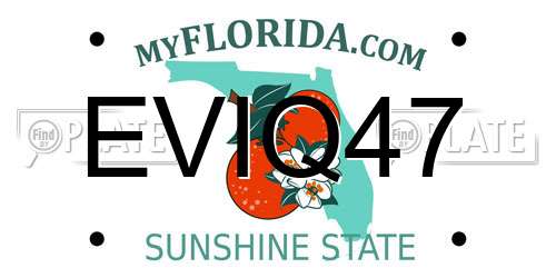 EVIQ47 Florida License Plate