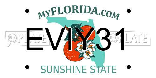 EVIY31 Florida License Plate