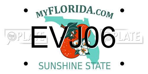 EVJ06 Florida License Plate