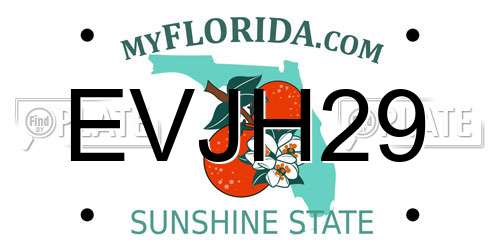 EVJH29 Florida License Plate