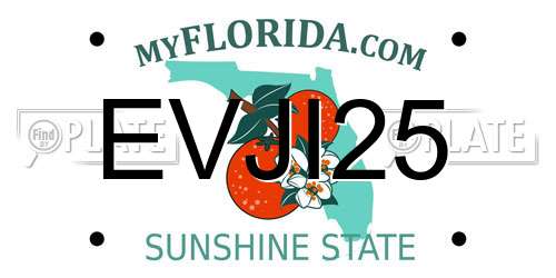 EVJI25 Florida License Plate