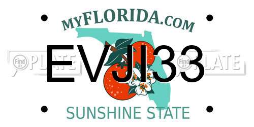 EVJI33 Florida License Plate