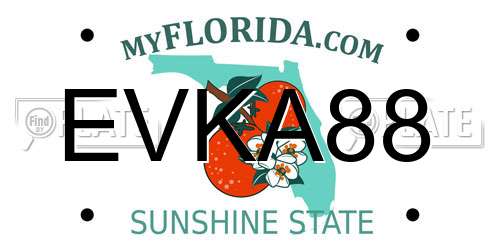 EVKA88 Florida License Plate
