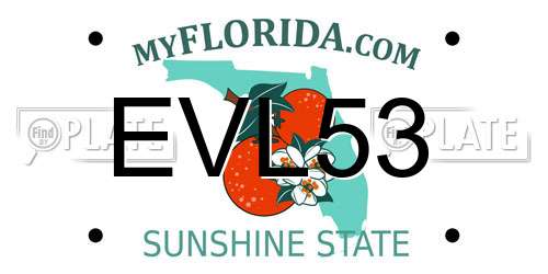 EVL53 Florida License Plate